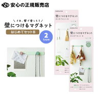 《コクヨ（KOKUYO）》壁につけるマグネット はじめてセットB 各種 LSW-MGPSETB ☆石膏ボードの壁にホッチ…