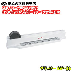 ObT[p` GSP-26 B5TCY26XC_[炷B5TCY26̃[Y[t܂Io͂f[^zz[Y[tƈꏏɃoC_[m[gɒԂ