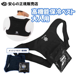 y|Cg3{ X[p[SALEԒzyMǑ΍ɁIzACXgXg {fBtBbgxXg lp MǑ΍̐VԁI点ۗ܁uACXgXgvbVxXgɓ