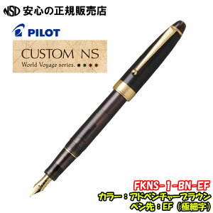 NM CUSTOM NSiJX^NSjWorld Voyage series e FKNS-1qC̒ŏo厩ȐiNAJ[ŕ\VFNM ɂ͊CC[Wu[p[czuspCbg