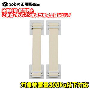 ]|h~ nk΍SXgbp[300 GS300Vs LOW(KINGJIM) t