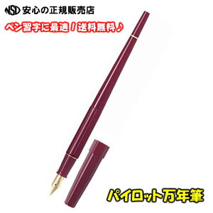 yzPILOT pCbgNM@fXNy bh