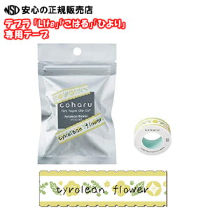 �L���O�W�� ���x�����C�^�[�u�e�v���vLite �t�B�����e�[�v TPT13C-002 �`�����A���t�����[�@13mm���^�����@�@(LR30�AMP20���͂�ALR5�AMP365�Ђ��AMP10���͂� �Ŏg�p�ł��܂�)