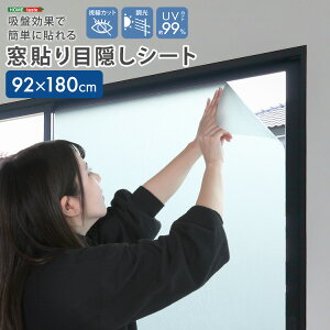 《S》吸盤効果で簡単に貼れる! 窓貼り目隠しシート 92×180cm