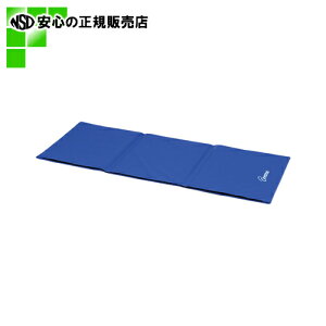  g[GCCg  GNTTCY}bgH7306B 150F (H7306B)