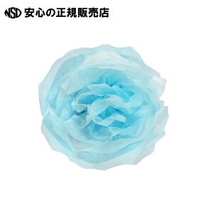 ͂Ȃ ܐF 500  No.21 s  t