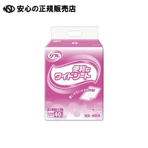 t֗ȃChV[g401P 92431 s uhDR[|[V t