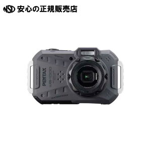 fW^J WG-1000 O[ WG-1000 GRY s R[/y^bNX t