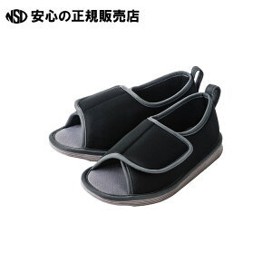 ]|\hV[YܐȂubNLL 091295 s | t