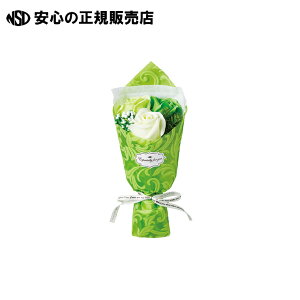 GKg~ju[P O[ GM-4826 s nbs[Ntg t