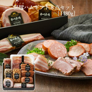yB_z n \[Z[W 8_ l  Hה Zbg  j  j Mtg bZ[WJ[h 蕨  Hi Y ؓ O x[R ̂  