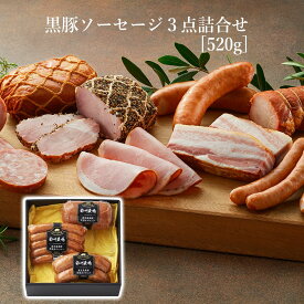 【かごしま黒豚 使用】父の日 プレゼント 黒豚 ソーセージ 3点 食べ比べ パーティー キャンプ アウトドア 鹿児島 南州農場 セット 詰合せ お祝い お礼 内祝い ギフト 贈り物 メッセージカード可 お取り寄せ 国産 豚肉 グルメ のし 包装 人気 特産品 BBQ 低添加 おつまみ