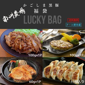 【ポイント5倍】お中元 父の日 プレゼント 黒豚 福袋 4点 ハンバーグ 味噌漬け 生姜焼き 餃子 キャンプ アウトドア 南州農場 鹿児島 セット 内祝い ギフト 箱入り メッセージカード可 御祝 お礼 贈り物 一人暮らし お取り寄せ 肉 グルメ のし 包装 人気 かごしま 特産品