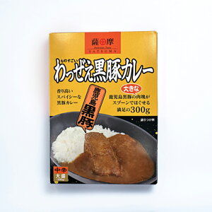 yVz yY   nJ[ B_    J[ iggjY ؓ 퉷ۑ H l炵 PgC u  lR|XΉ 