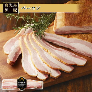 y܍ gpz B_   x[R ubN 150g Y  Y Lv BBQ H ٓ ThCb` o[K[ AEghA