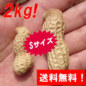 IwԐ ܂ 2kgiSTCYjx䥂ŗԐɍœKIt[ỸW{s[ibc