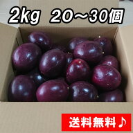 ※訳アリ！送料無料『パッションフルーツ 2kg 20〜30個』送料無料！南房総市産 農家直送！