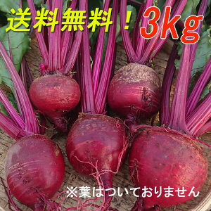 4����菇�������w�����x�r�[�c 3kg�x�_��s�g�p�I ��t����[���s�Y�@���������I�����������Ɏ��n�I�I