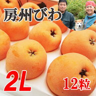 送料無料『房州びわ/枇杷 2Lサイズ12個入り』南房総市産のジューシーで大実の枇杷を農家から直送！