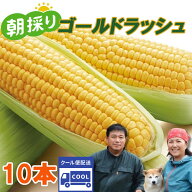 6月中旬～7月中旬発送『トウモロコシ スイートコーン（ゴールドラッシュ） 10本』発送当日に収穫したもの…