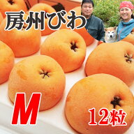 送料無料『房州びわ/枇杷 Mサイズ12個入り』南房総市産のジューシーで大実の枇杷を農家から直送！