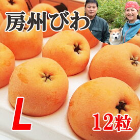 送料無料『房州びわ/枇杷 Lサイズ12個入り』南房総市産のジューシーで大実の枇杷を農家から直送！