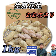 『生落花生 おおまさり 1～6kg』茹で落花生に最適！千葉県南房総産のジャンボピーナッツ
