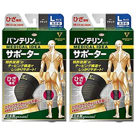 興和新薬 バンテリンコーワサポーターひざ用大きめLサイズ1枚×2 2609 P12S