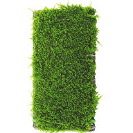 ウィローモスマット 10 × 5 cm 置くだけ簡単 綺麗に育つ 農薬不使用 室内育成 国産 水草 生体 エビ水槽 …