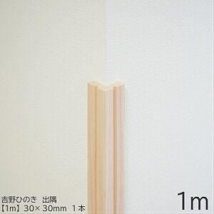 _9/26 14:59܂Ń|Cg10{!^y1mzo@30×30mm@gЂ̂[fBOb[fBO o p ؍ O  DIY jH Ђ̂ gO C   ͗lւ mx[V