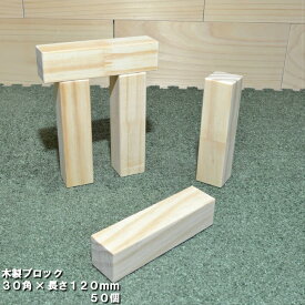 楽天市場 木工工作おもちゃの通販