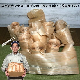 【スギ】杉のなが〜いカンナロールダンボールいっぱい｜木材 廃材 木 端材 詰め合わせ 杉 削り節 かんなくず 長い 薄い クラフト ハンドメイド DIY 木工 夏休み 工作 手芸 手作り 日曜大工 自然材料 天然木 材料 吉野杉 8材