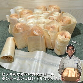 【ヒノキ】桧のなが〜いカンナロールダンボールいっぱい｜木材 廃材 木 端材 詰め合わせ 桧 削り節 カンナ屑 かんなくず 長い 薄い クラフト ハンドメイド DIY 木工 夏休み 工作 手芸 手作り 自然材料 天然木 桧風呂 8材
