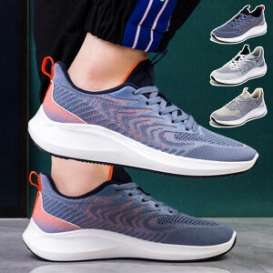 y20Jn 10%OFFN[|zzz55%OFF!y72H:7,160~3,222~zjOV[Y EH[LOV[Y Xj[J[ Y y ʋC  V[Y X|[cV[Y ^C WM