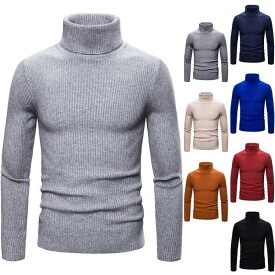 セーター メンズ 秋冬 ニットセーター 体型カバー ハイネック 長袖 無地 メンズファション 格好良い 8color S~2XL 送料無料