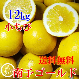 【送料無料】小ちび南予ゴールド（河内晩柑）12kg《訳あり小ちび》【食品】【人気商品】【愛媛県産】スッキリ爽やかジューシー果実（サイズ バラ混 S～Mサイズ）【旬の果実】【宇和ゴールド】【美生ゴールド】【夏文旦】【グルメ】