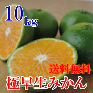みかん10kgの通販 価格比較 価格 Com