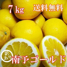 【送料無料】《訳あり 河内晩柑》南予ゴールド 7kg【人気商品】【食品】【愛媛県産】スッキリ爽やかジューシー果実（15〜20玉・サイズ バラ混 S〜3Lサイズ）【旬の果物】【宇和ゴールド】【美生ゴールド】【夏文旦】【グルメ】