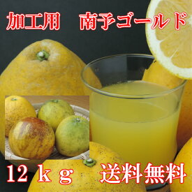 【送料無料】《加工用 河内晩柑》南予ゴールド12kg【旬の果実・フルーツ】（サイズ 2S〜3L　キズ・スレ・黒点・浮き・シワ）【人気商品】【愛媛県産】スムージーまたはジュースやゼリー、ジャムなど果汁を使った加工品向き