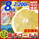 小ちび南予ゴールド（河内晩柑）8kg《訳あり小ちび》【愛媛県産】【送料無料】スッキリ爽やかジューシー果実（30〜40玉・サイズ バラ混 2S〜Sサイズ）ビタミン... ランキングお取り寄せ