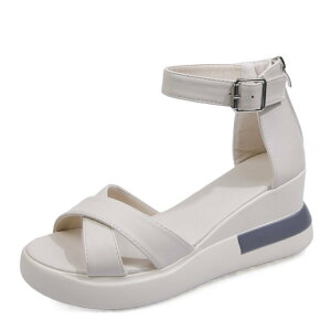 T_ fB[X ₷  T_ gh EFbW\[ XgCvT_ OfBG[^[ Vv ₷ r l 40؂