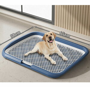 gC  gC pgC gCe gC{ g[jO  gCg[jO ̃gC ybgg[ gCg[