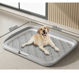 gC  gC pgC gCe gC{ g[jO  gCg[jO ̃gC ybgg[ gCg[