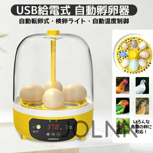 鳥 小動物用ペットグッズ 孵化器」の人気商品一覧・価格比較 - 価格.com