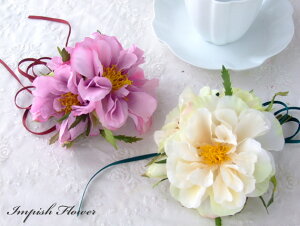  RT[W wAANZT[ o AC-148 VNt[ A[gt[    wAANZ