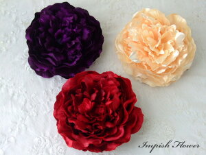 iI  RT[W wAANZT[ iLX AC-168 VNt[   wAANZ  w Ǝ   l tH[}