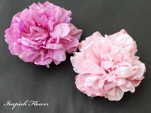 RT[W wAANZT[ AC-200 VNt[    wAANZ  w Ǝ   l RT[W tH[}