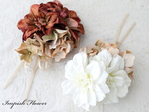 RT[W  wAANZT[ _A AC-223 VNt[ A[gt[   wAANZ  w Ǝ   l RT[W tH[}