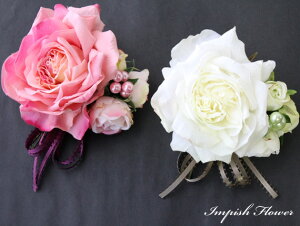 RT[W  o AC-225 VNt[ A[gt[   w Ǝ   l tH[}