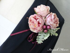 RT[W  o AC-244 VNt[     w Ǝ   l tH[}